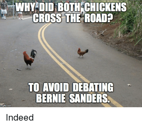 why-did-both-chickens-cross-the-road-to-avoid-debating-2604457